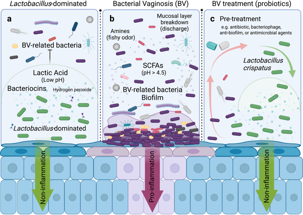 Picture of: The right bug in the right place: opportunities for bacterial